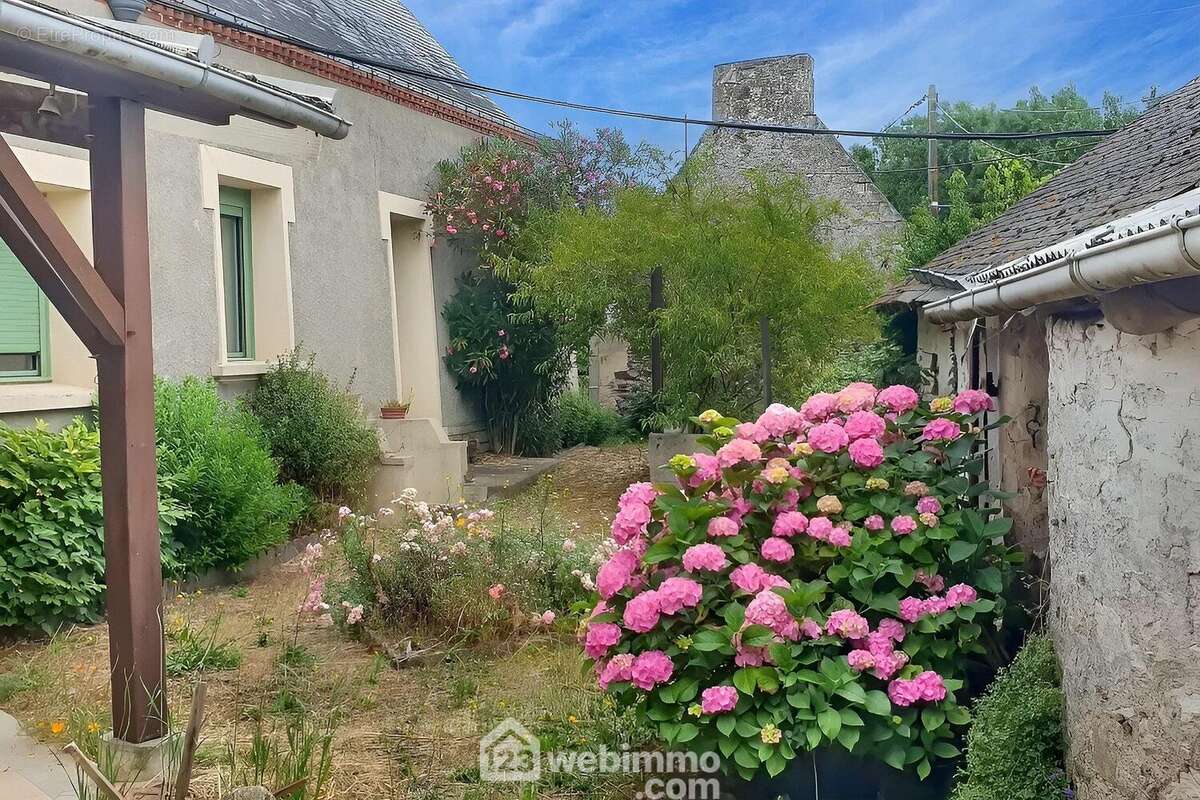 Maison à CHALONNES-SUR-LOIRE