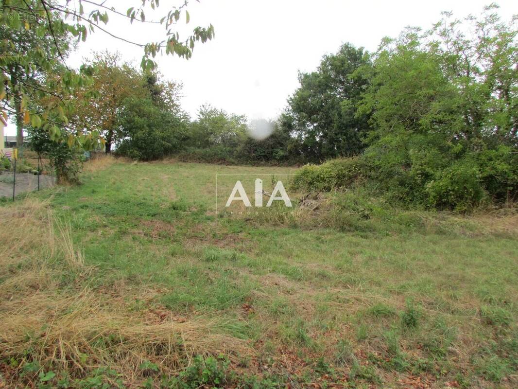 Terrain à BERNAC