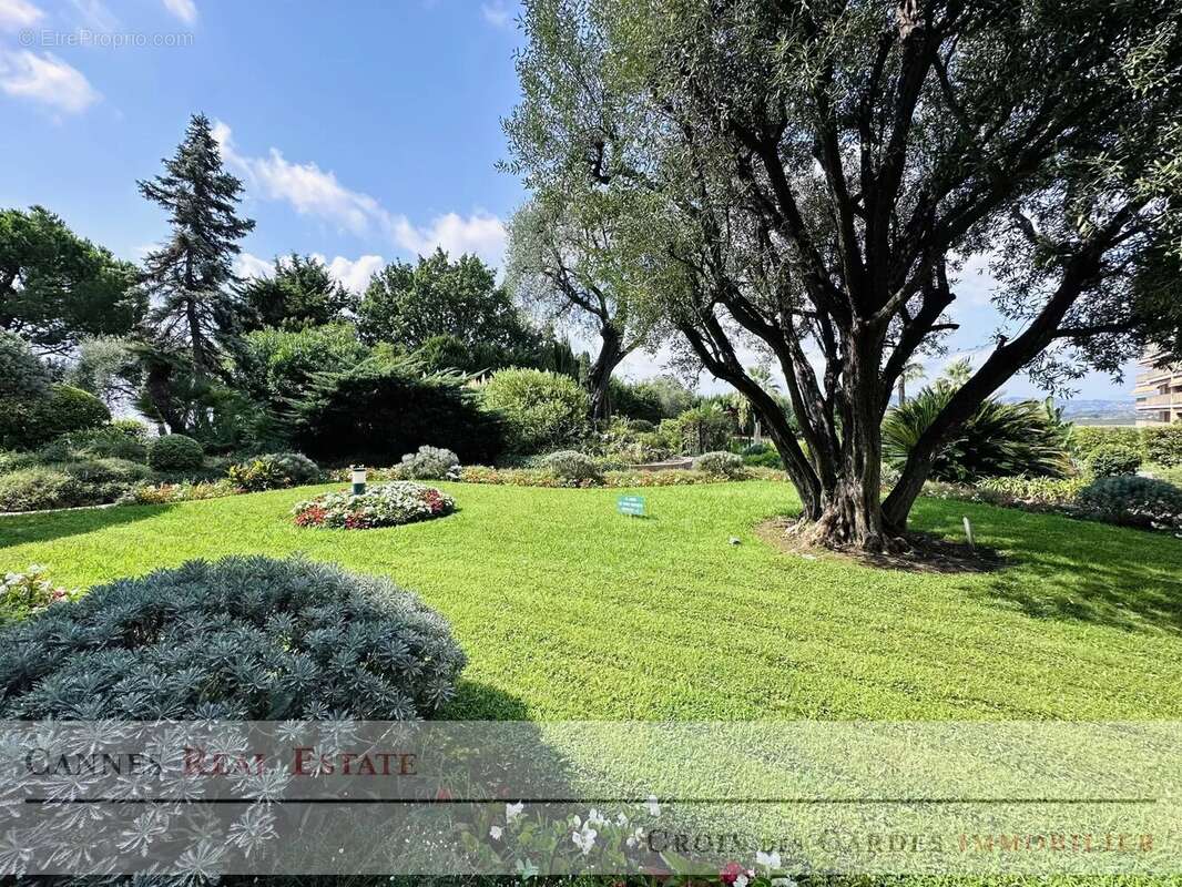 Appartement à LE CANNET