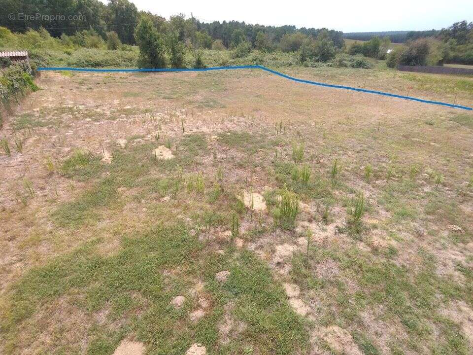 constructible-viabilisé-1500M² - Terrain à CASTELJALOUX