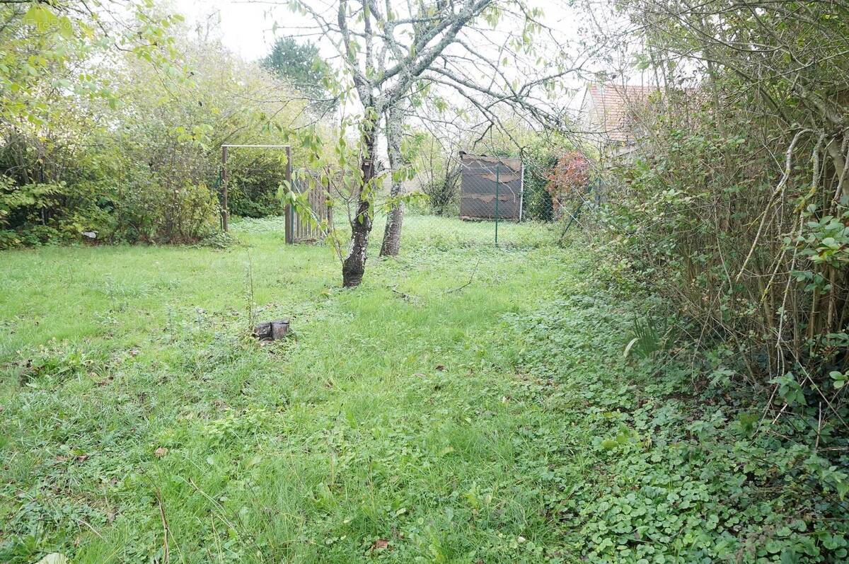 Photo depuis la limite séparative - Terrain à CRECY-LA-CHAPELLE