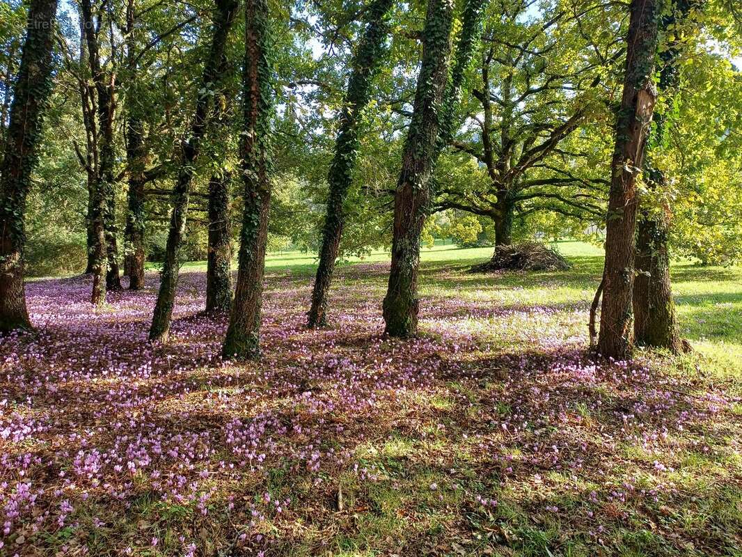 Maison à SARLAT-LA-CANEDA