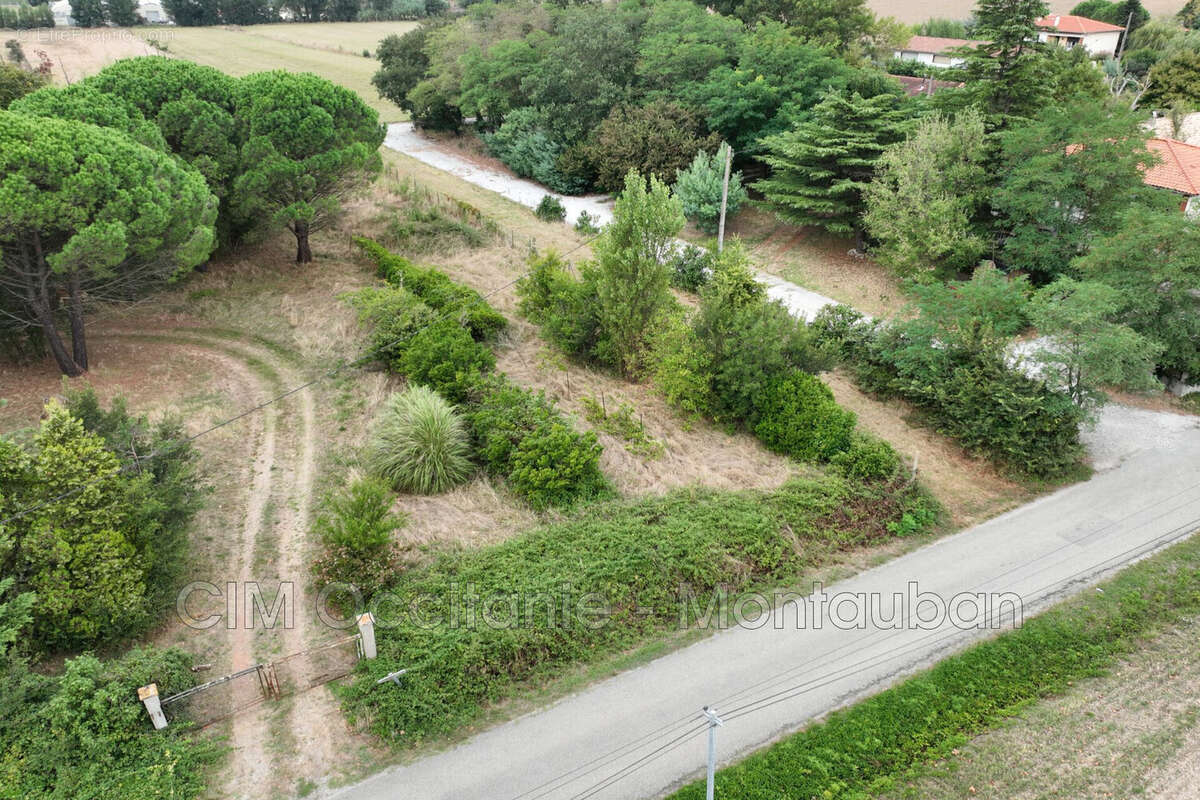 Terrain à MONTGAILLARD-LAURAGAIS