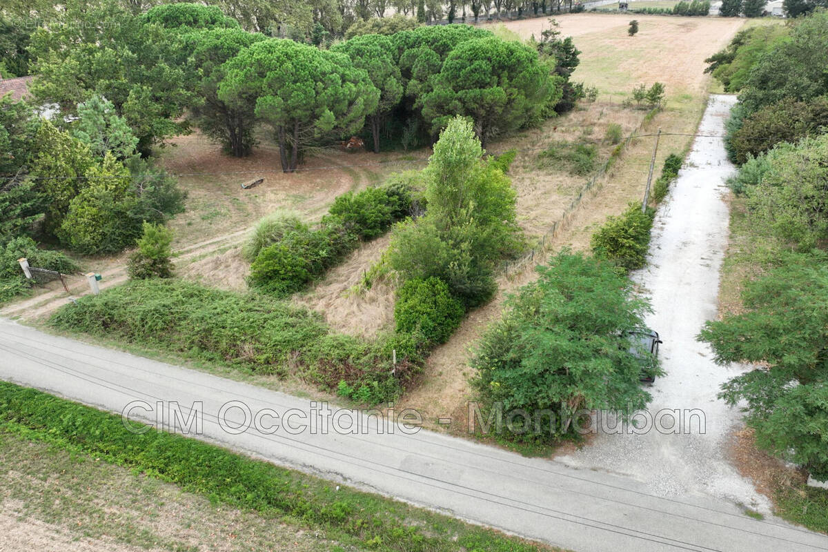 Terrain à MONTGAILLARD-LAURAGAIS