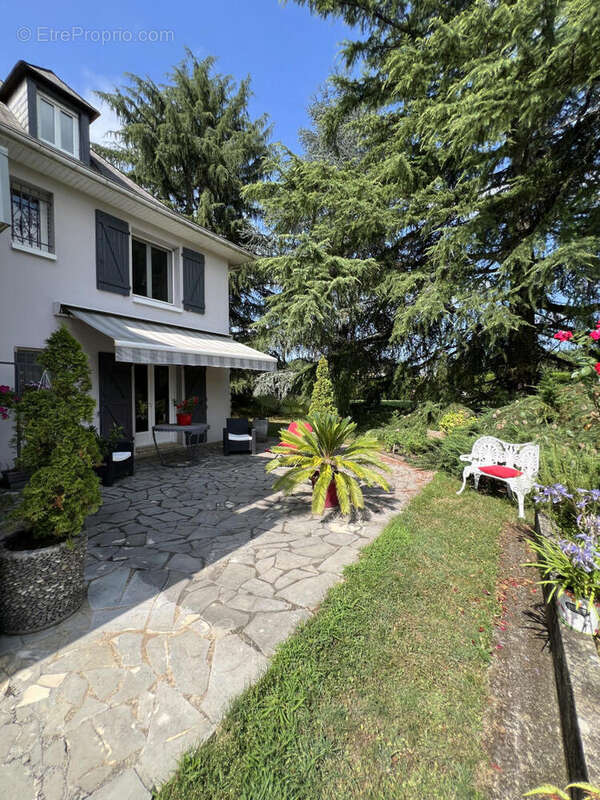 IMG_0600 - Maison à OLORON-SAINTE-MARIE