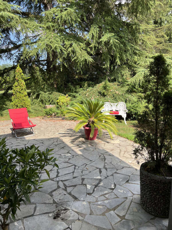 IMG_0604 - Maison à OLORON-SAINTE-MARIE