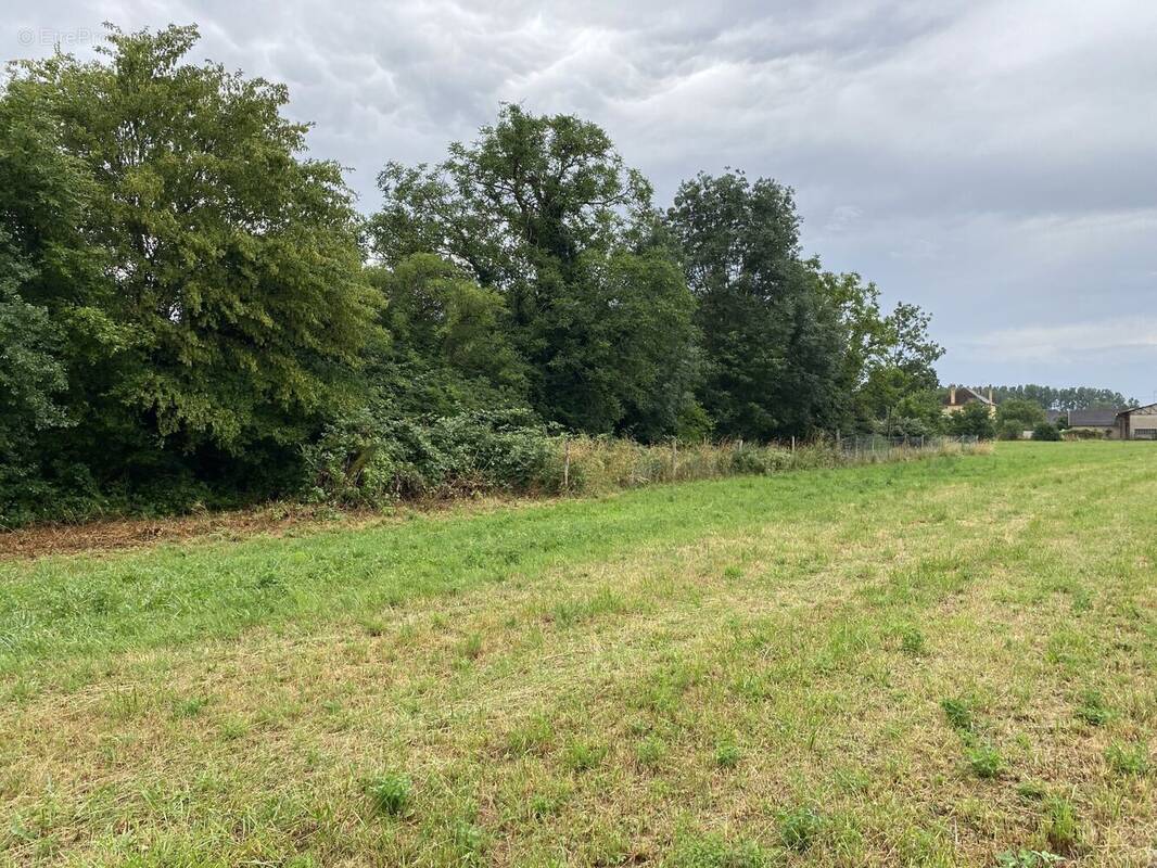 Photo 1 - Terrain à BRAZEY-EN-PLAINE