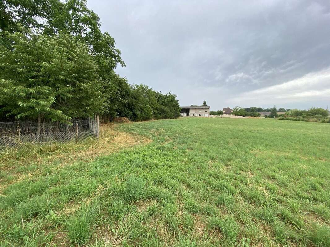 Photo 3 - Terrain à BRAZEY-EN-PLAINE