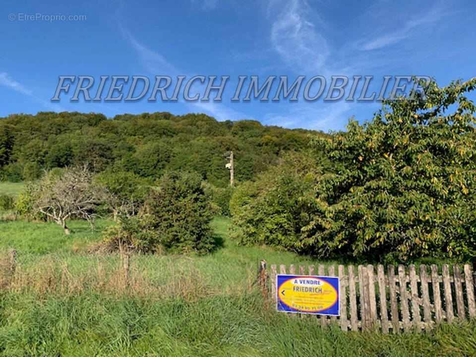 Terrain à BUXIERES-SOUS-LES-COTES