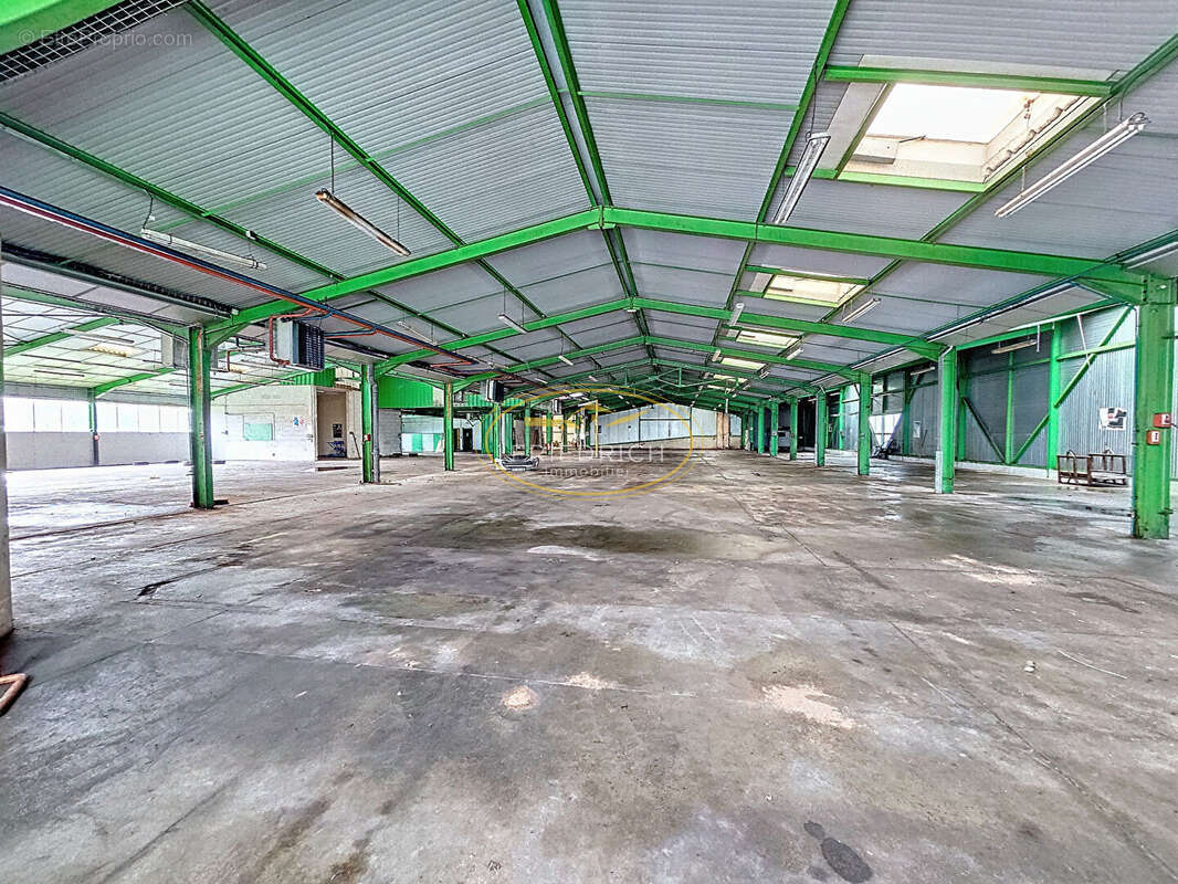 Commerce à VELAINES