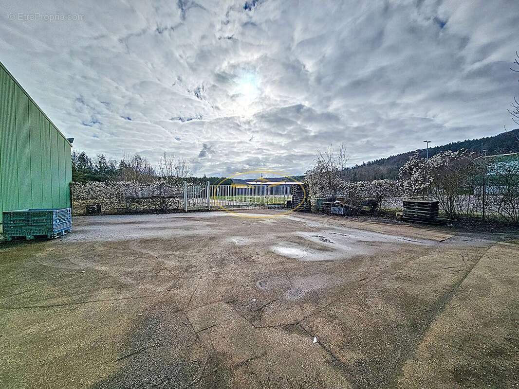 Commerce à VELAINES