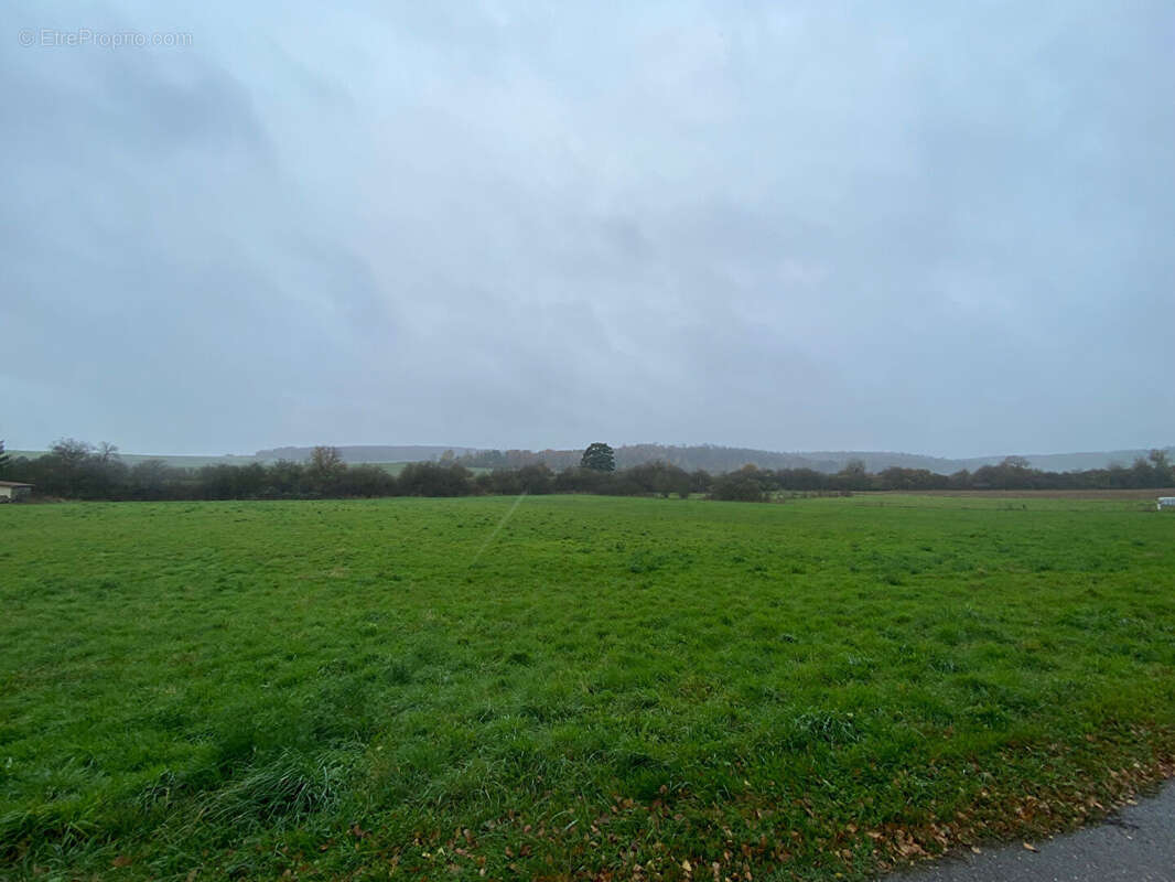 Terrain à VADONVILLE