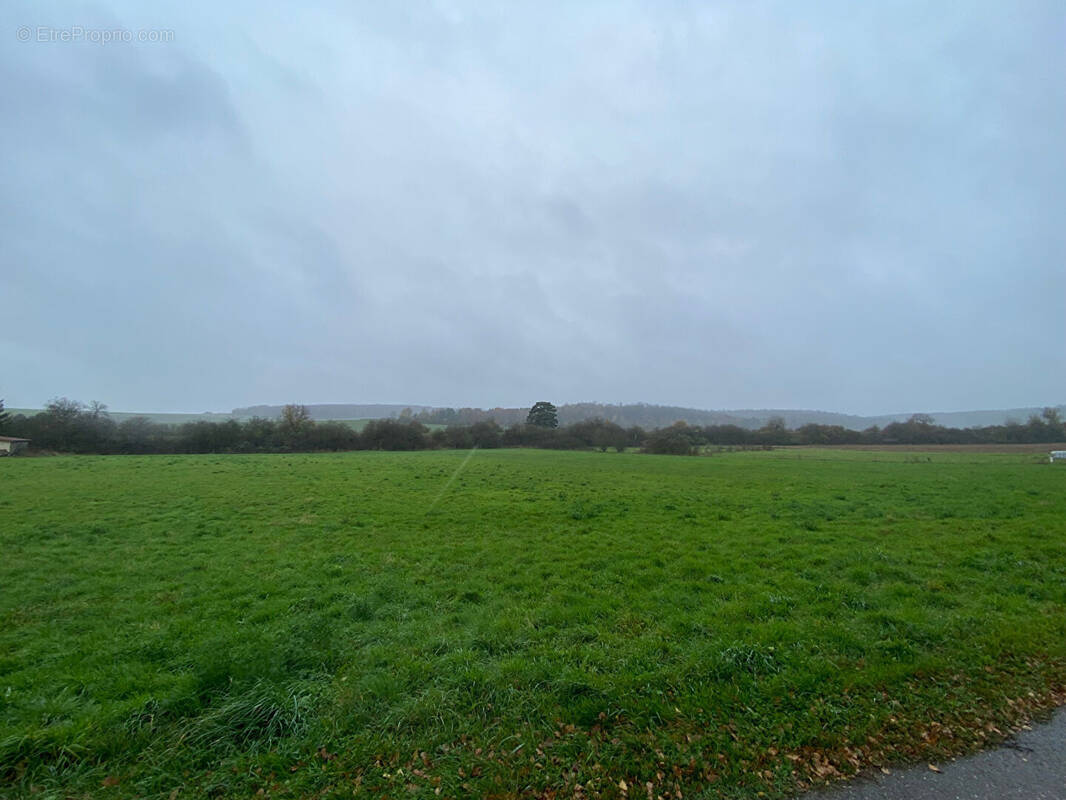 Terrain à VADONVILLE