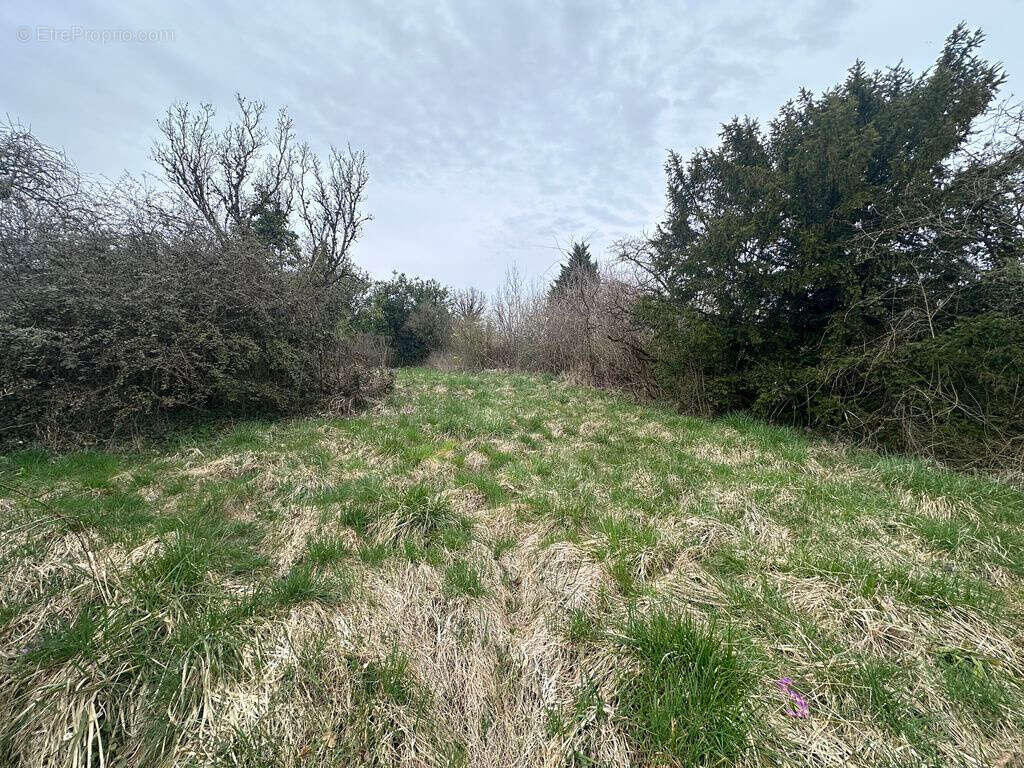 Maison à COMBLES-EN-BARROIS