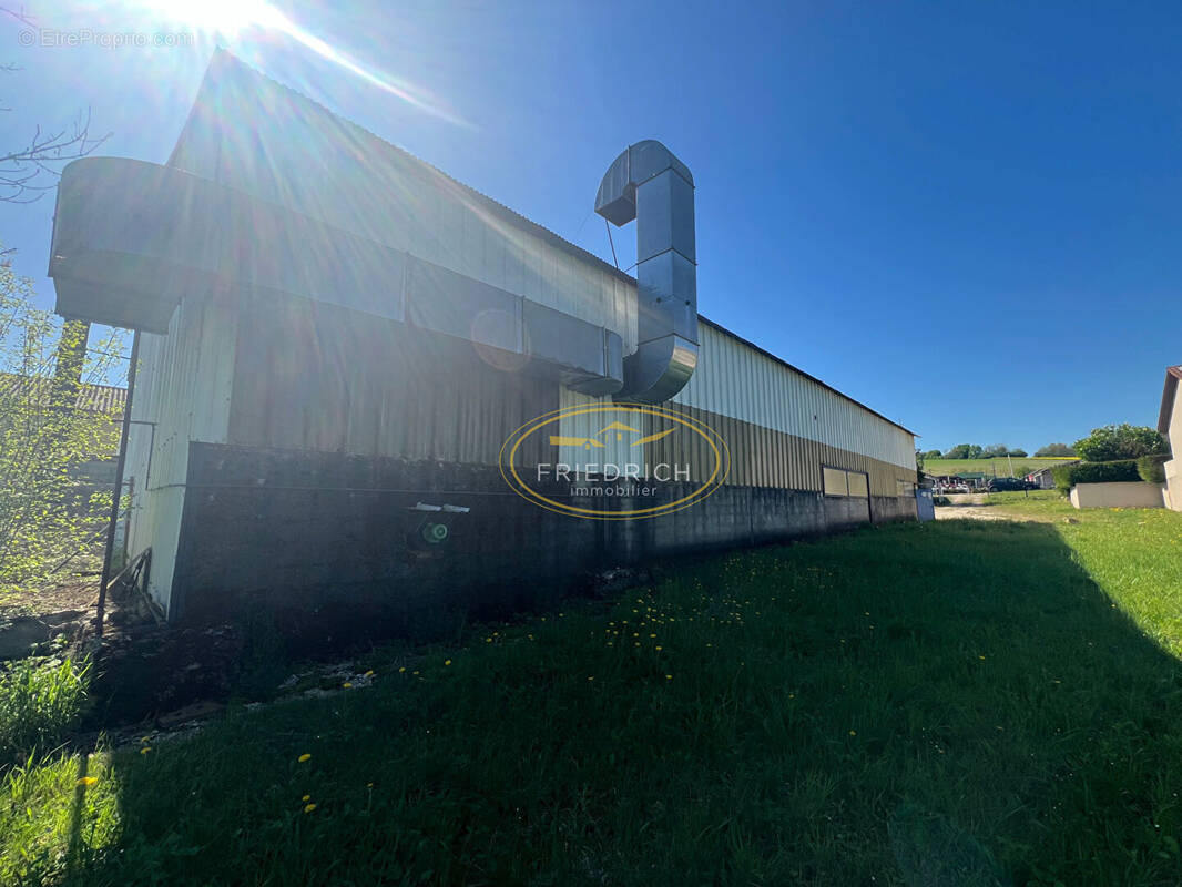 Commerce à SAINT-MIHIEL