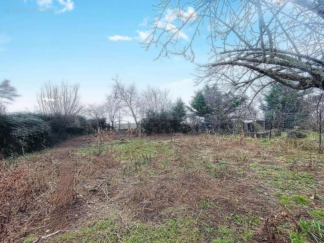 Photo 2 - Terrain à SAINTE-COLOMBE