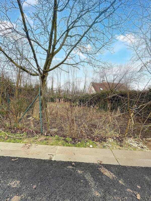 Photo 3 - Terrain à SAINTE-COLOMBE