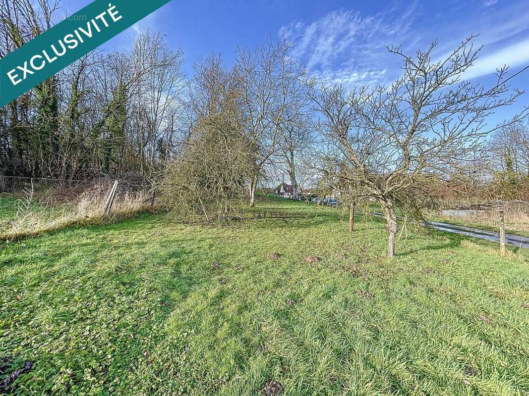 Photo 2 - Terrain à LONGUEVILLE