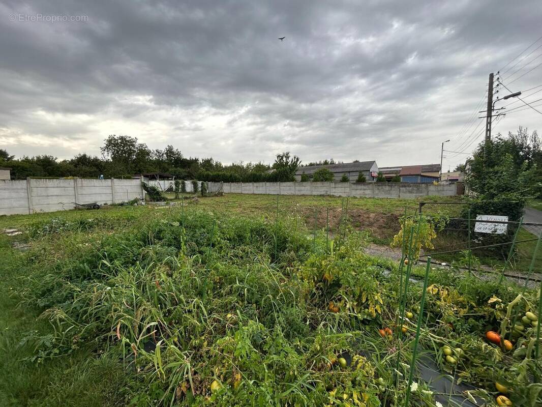 Photo 1 - Terrain à ROYE