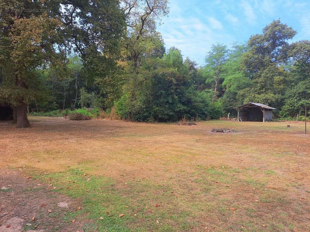 Photo 4 - Maison à CACHEN