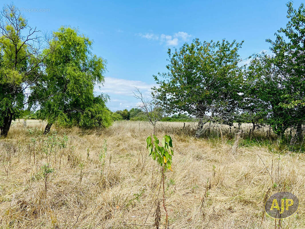Maison à GAILLAN-EN-MEDOC