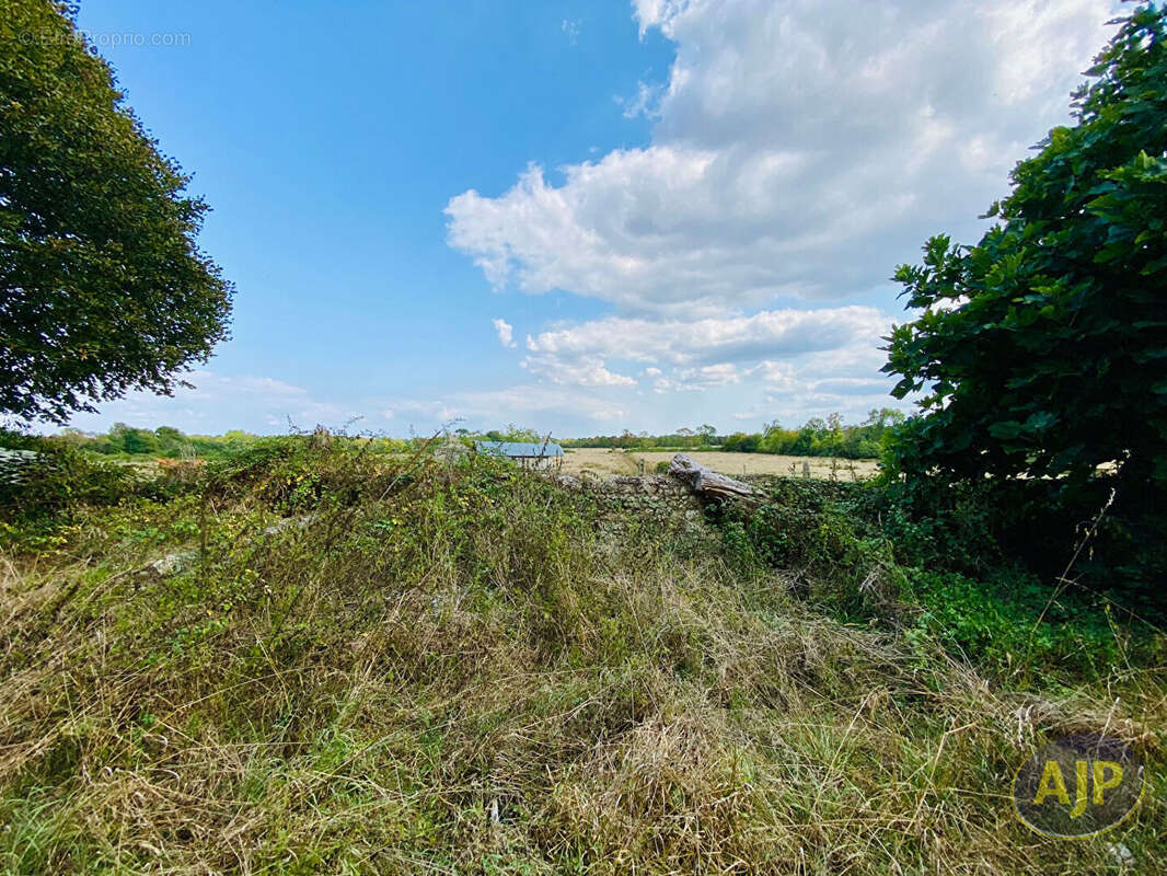 Maison à GAILLAN-EN-MEDOC