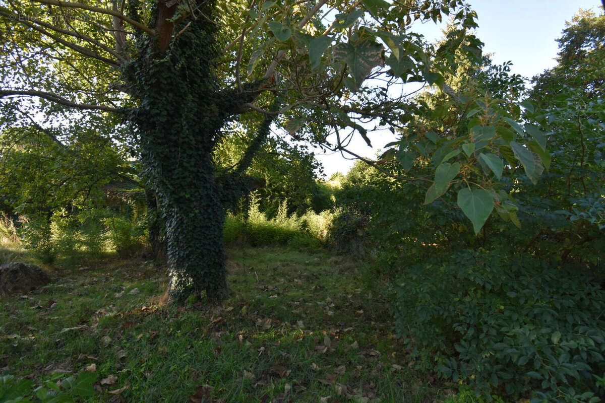 DSC_0064 - Maison à ANGOULEME