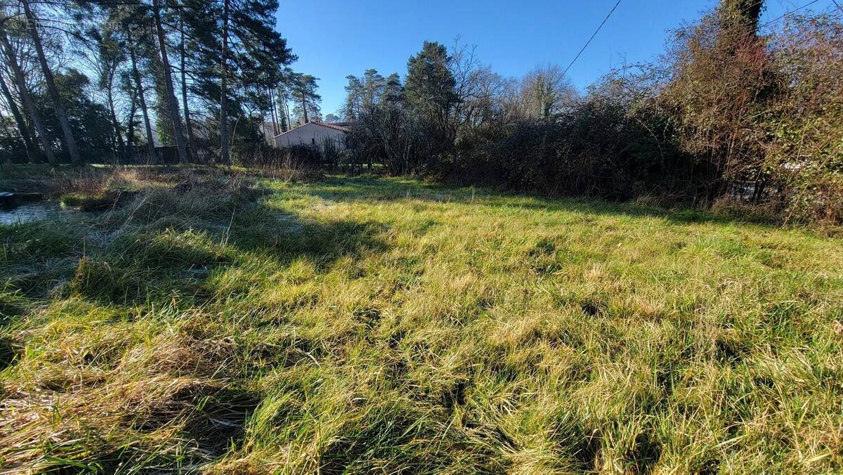 Terrain à MARTILLAC