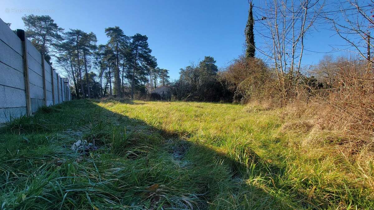 Terrain à MARTILLAC