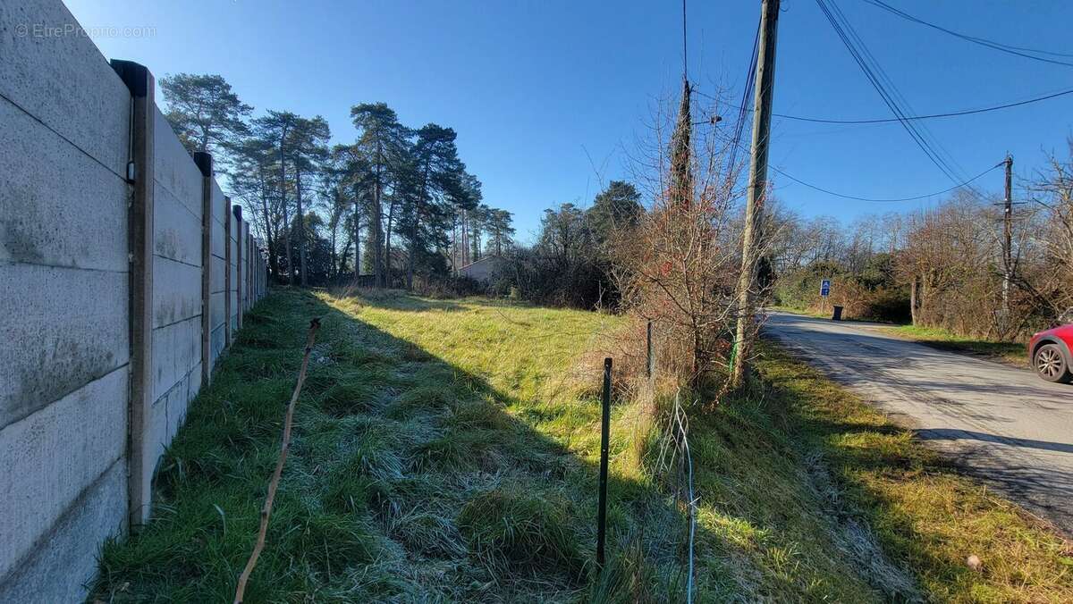 Terrain à MARTILLAC