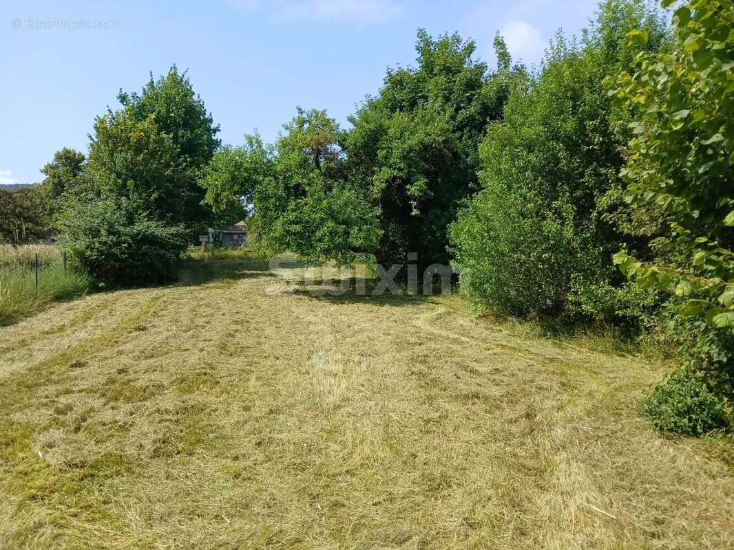 Maison à CHAMPAGNOLE