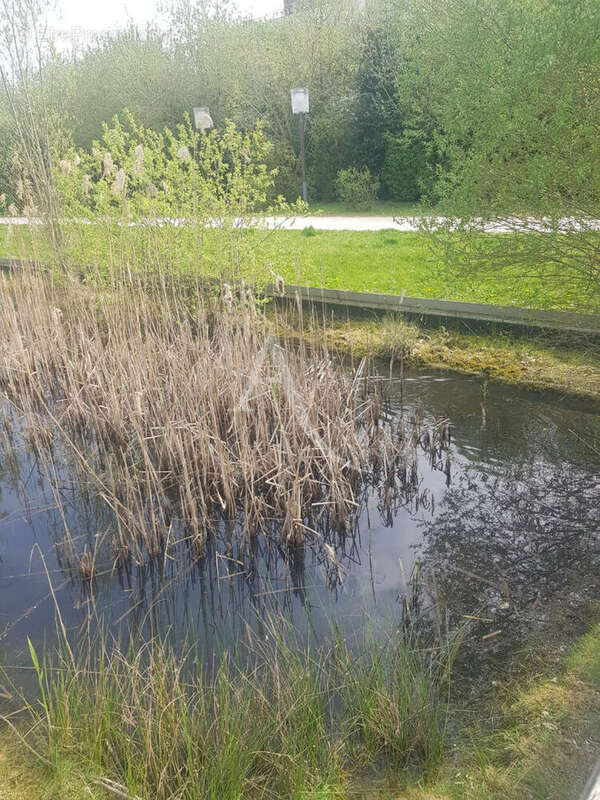 Appartement à BUSSY-SAINT-GEORGES