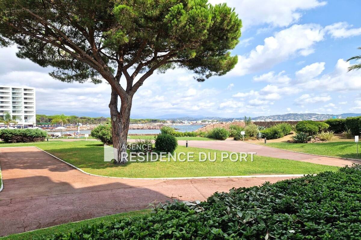 Appartement à MANDELIEU-LA-NAPOULE