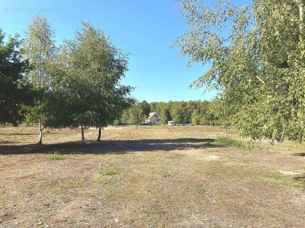 Maison à SAINT-OUEN-EN-BELIN