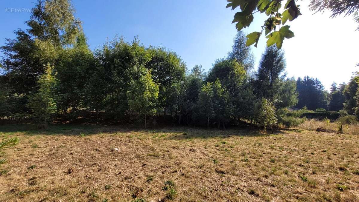 Maison à LE CHAMBON-SUR-LIGNON