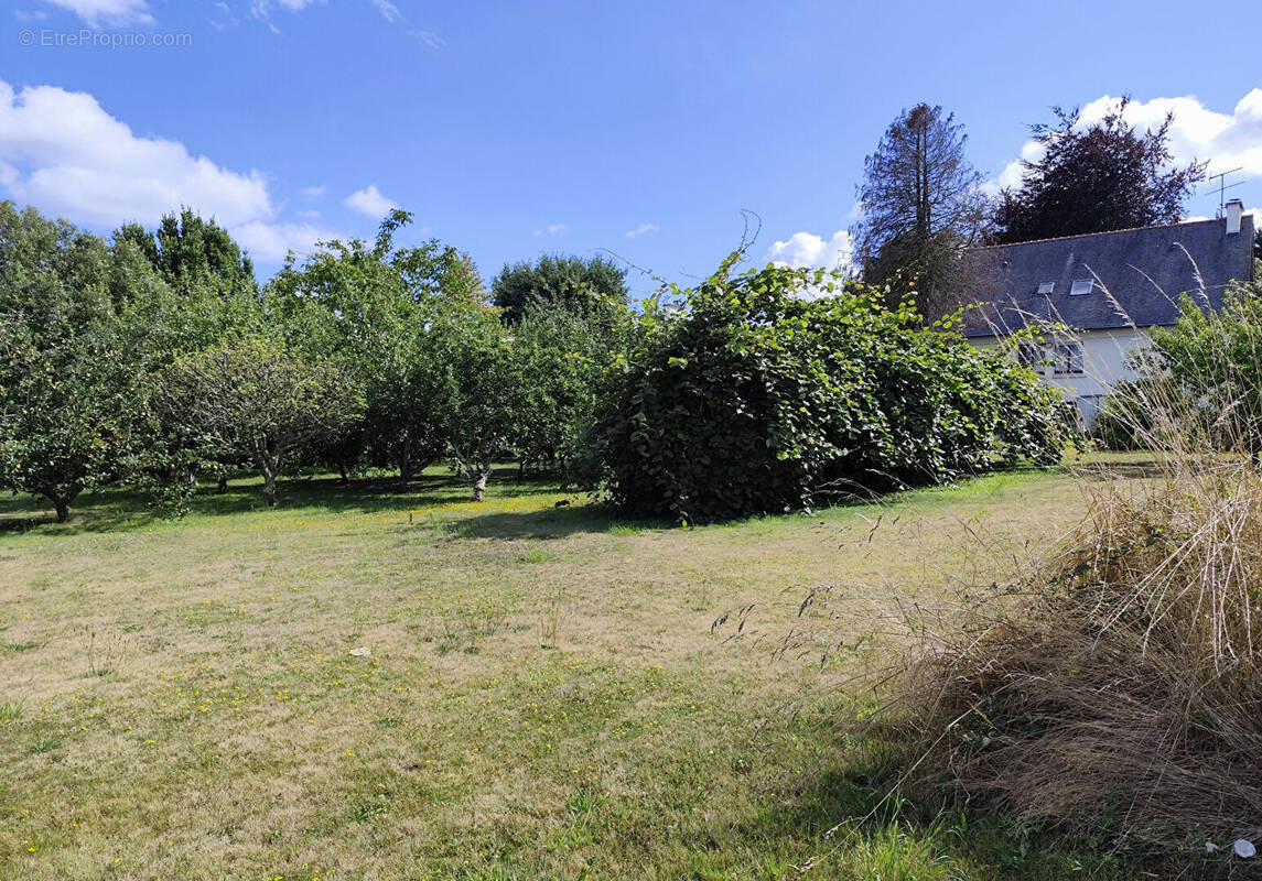 Terrain à FOUESNANT