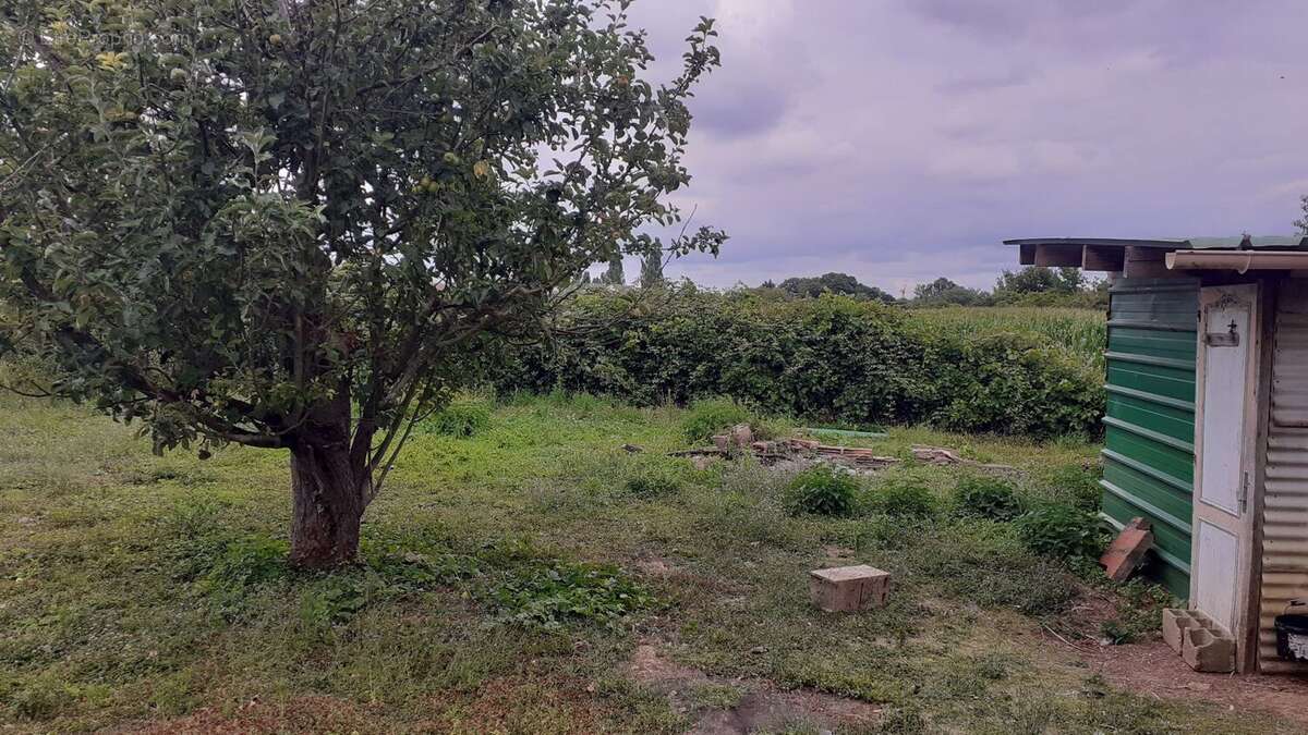Terrain à SAINTE-GENEVIEVE-DES-BOIS