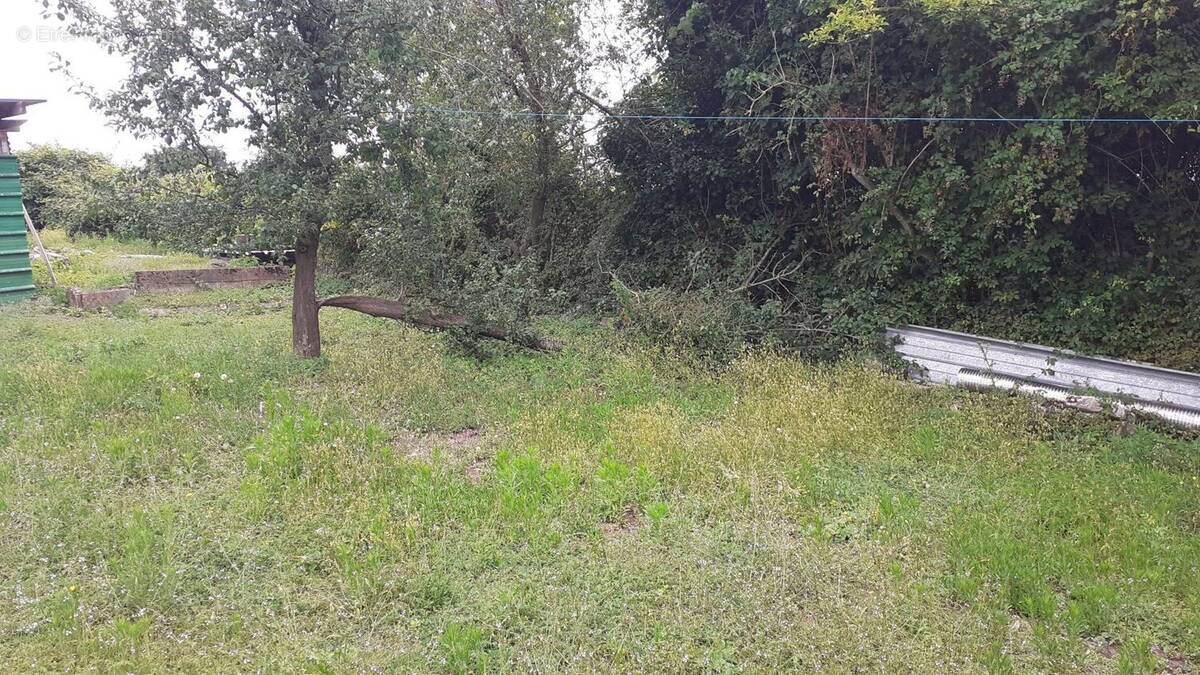 Terrain à VILLEMOISSON-SUR-ORGE