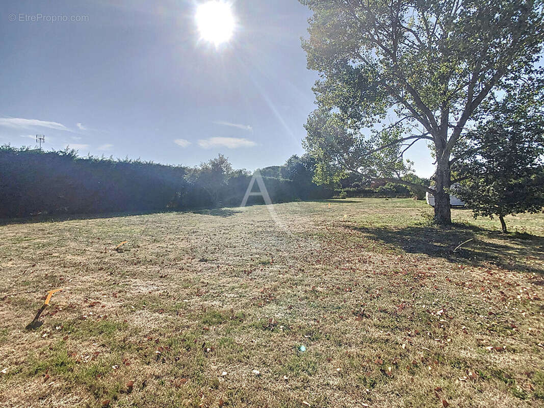 Terrain à LABARTHE-SUR-LEZE