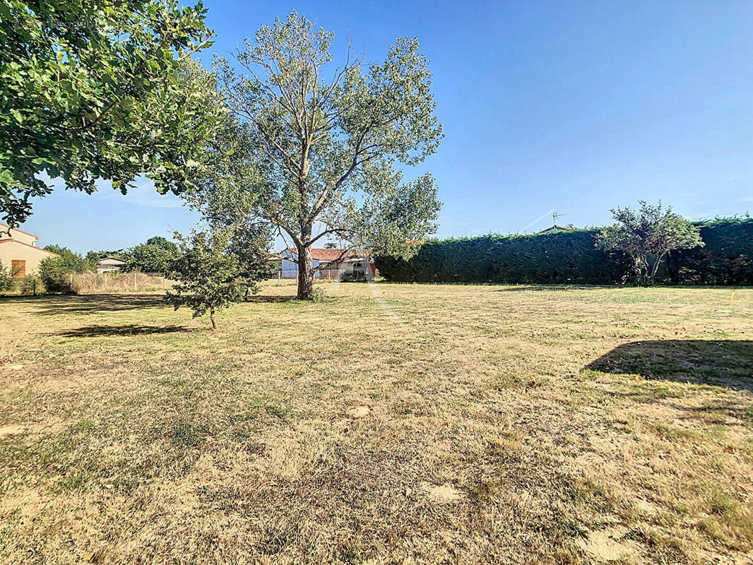 Terrain à LABARTHE-SUR-LEZE