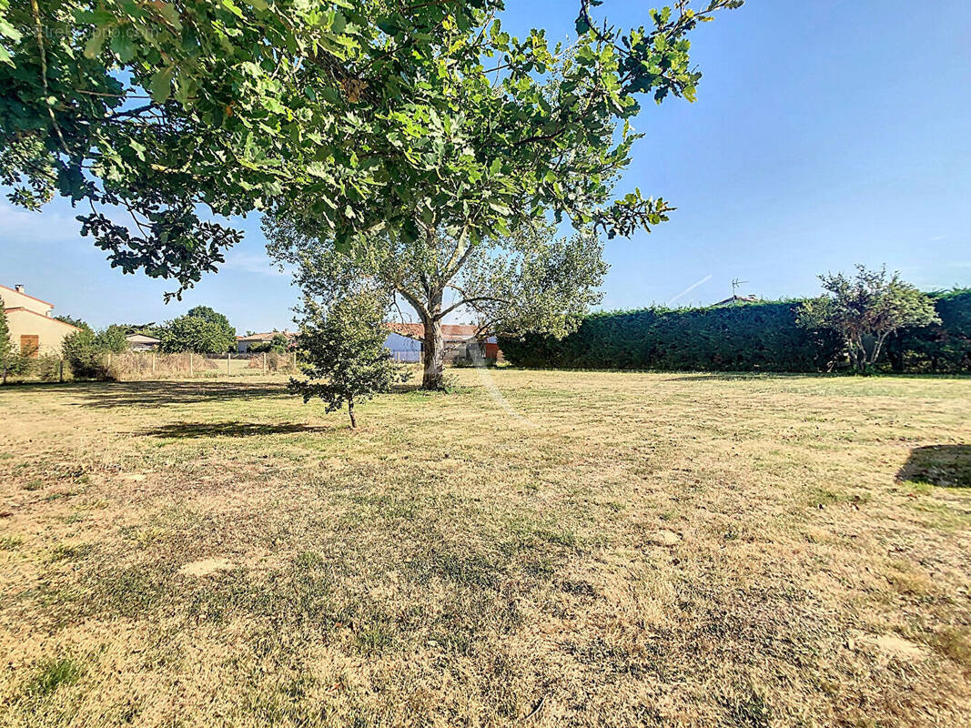 Terrain à LABARTHE-SUR-LEZE