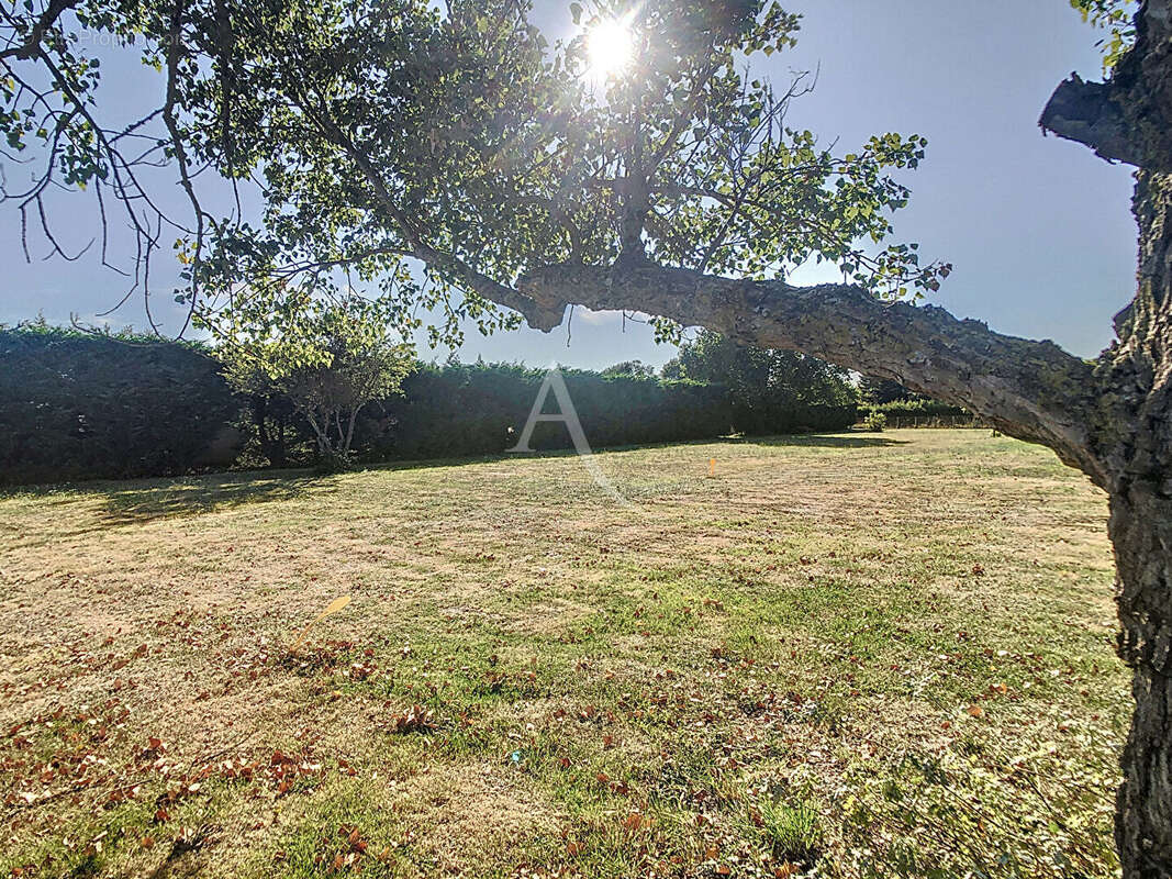 Terrain à LABARTHE-SUR-LEZE