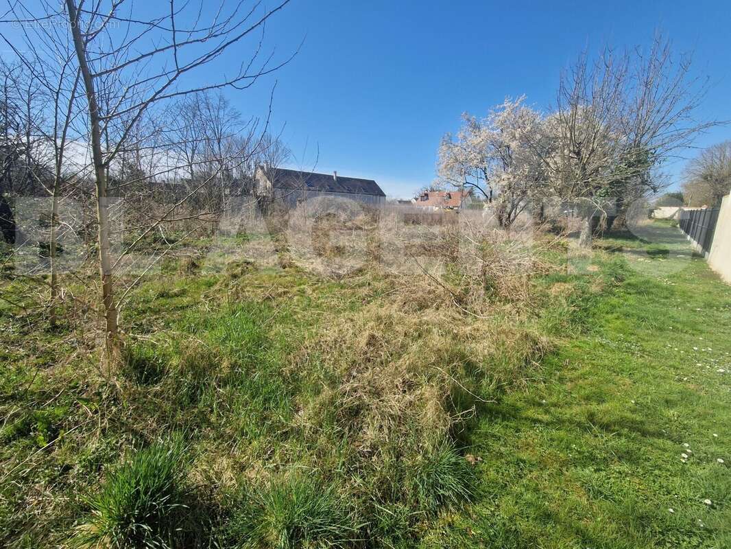 3 - Terrain à BARBEY