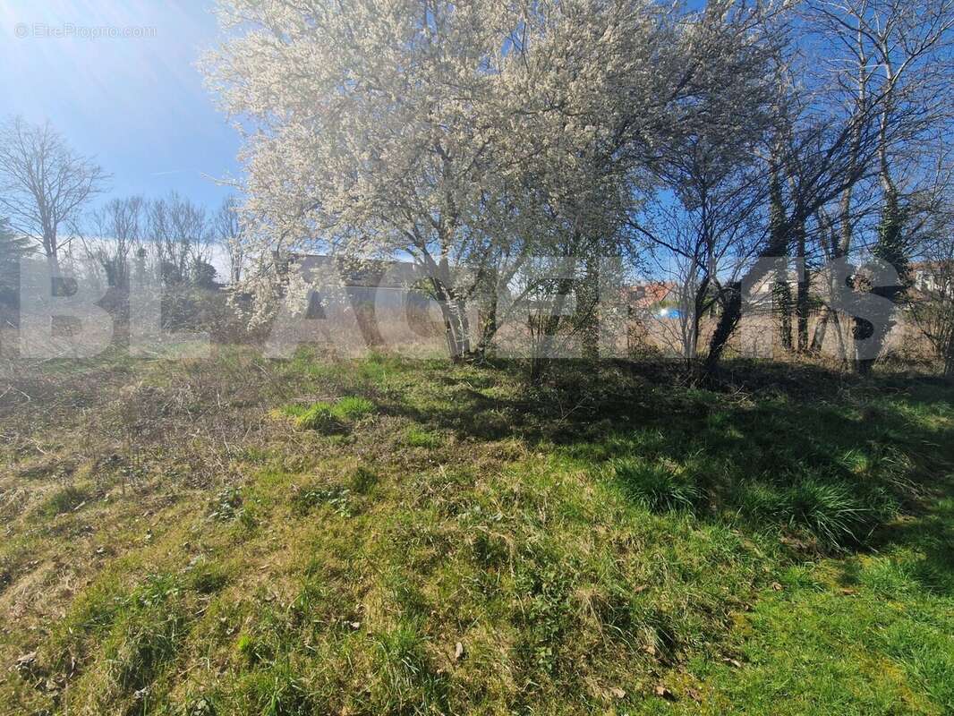 4 - Terrain à BARBEY