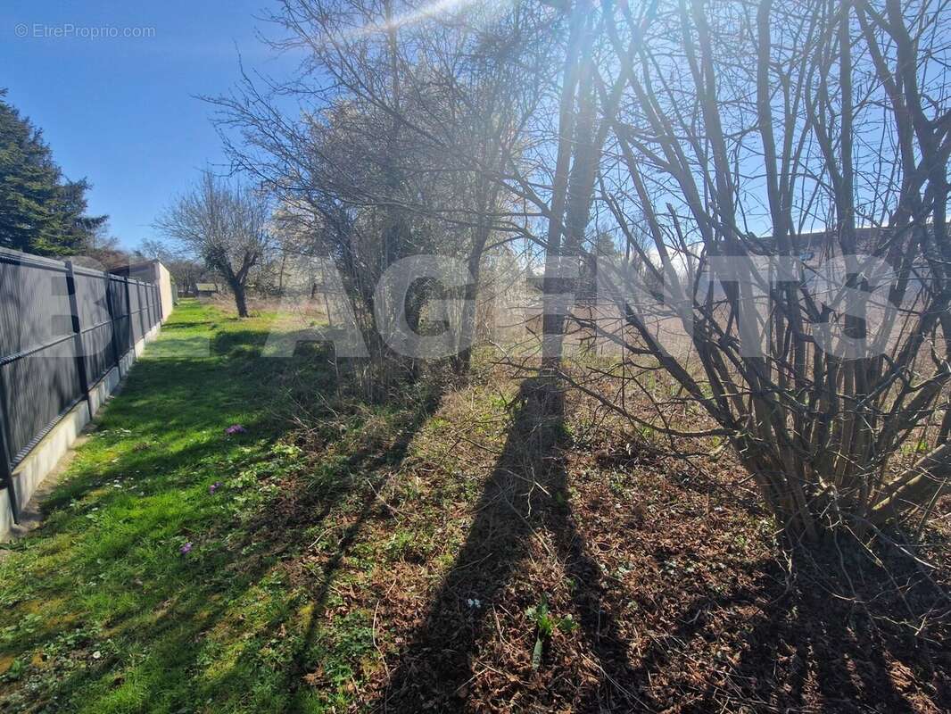 5 - Terrain à BARBEY