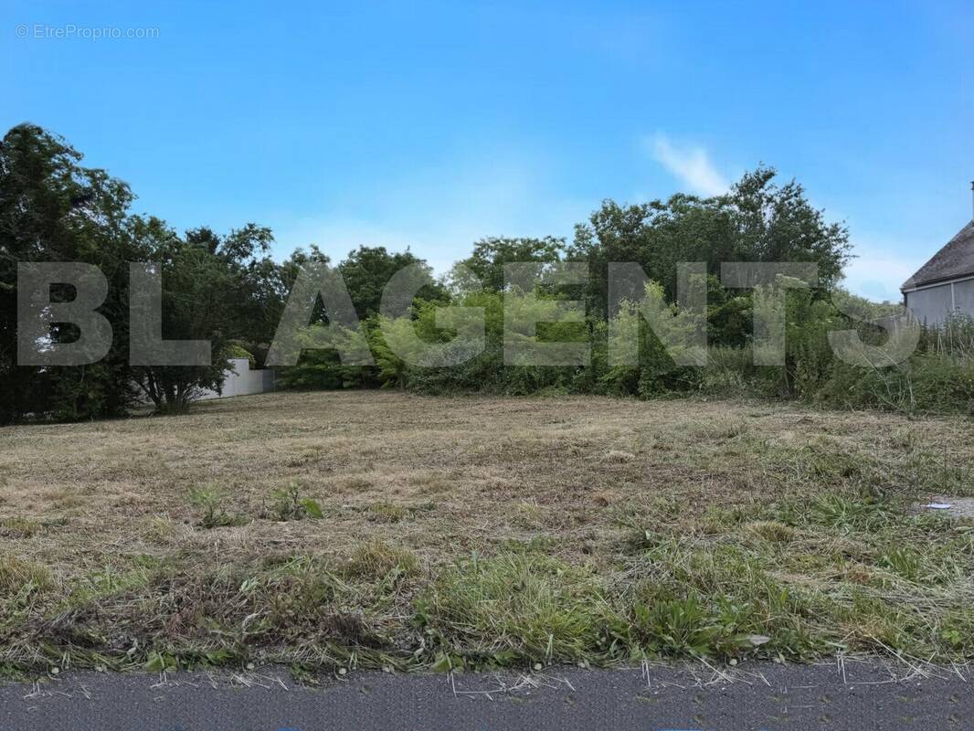 IMG_20250602_200232_inPixio - Terrain à BARBEY