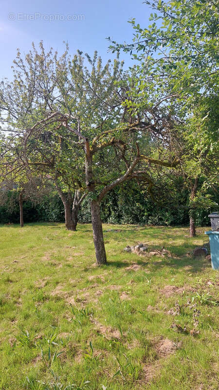 Terrain à EZANVILLE