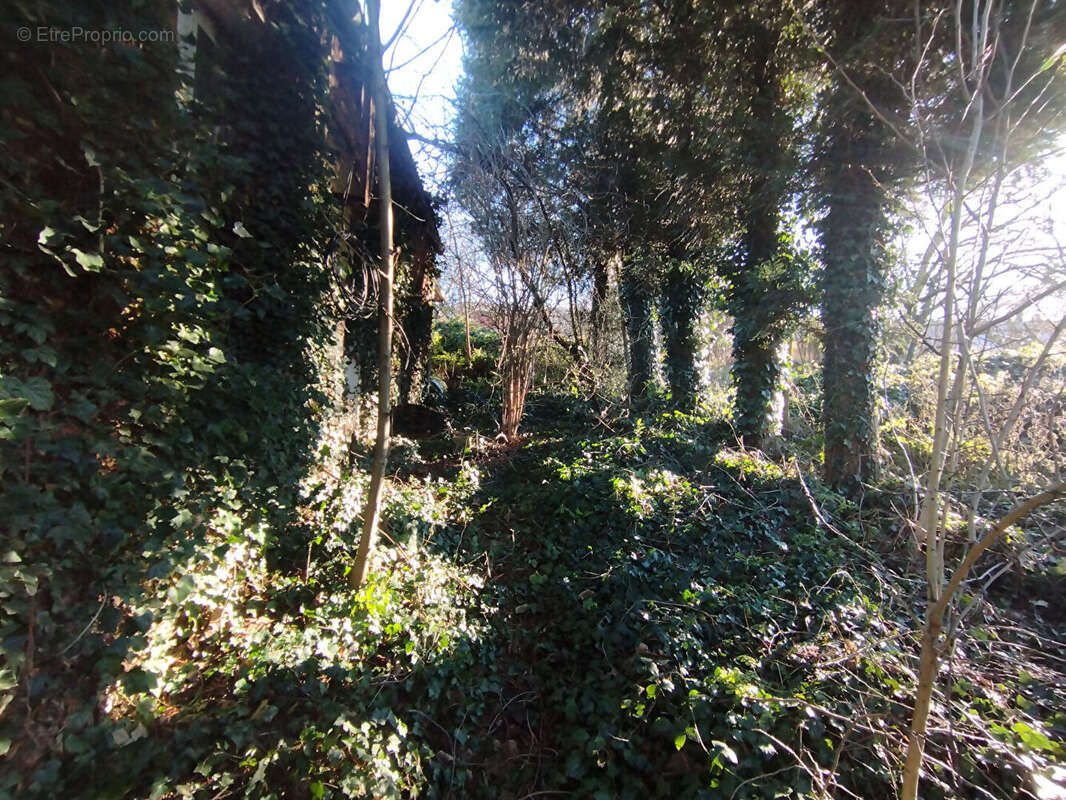 Maison à SONS-ET-RONCHERES