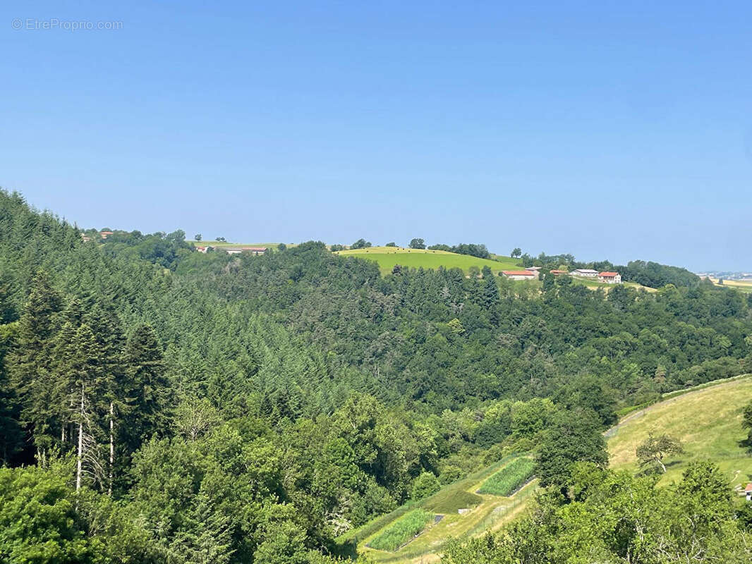 Commerce à SAINT-SYMPHORIEN-SUR-COISE