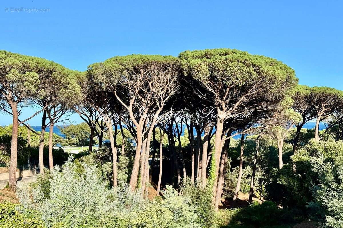 Appartement à SAINTE-MAXIME